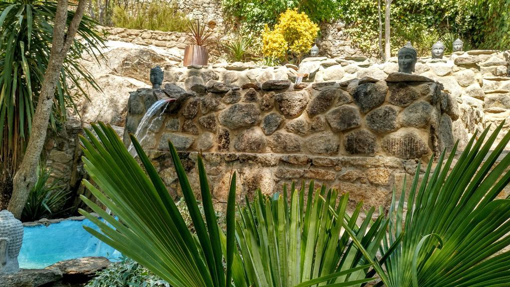 Almazara De San Pedro Country house